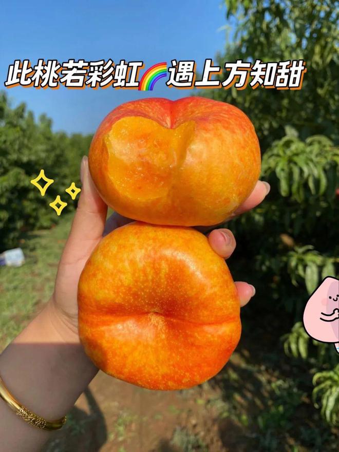 nonono游戏手机_手机游戏农场物语_手机游戏弄到电脑操作