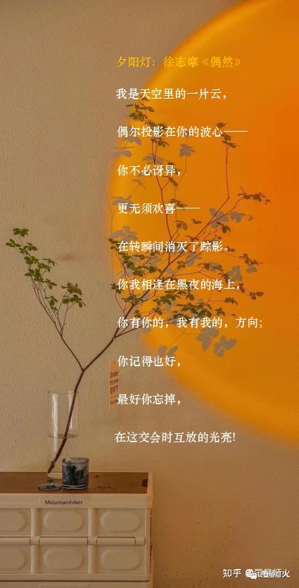 杯_杯弓蛇影_杯的四字词语