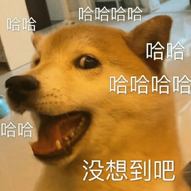 玩狗子手机游戏叫什么_玩狗子手机游戏有哪些_2狗子玩游戏玩手机
