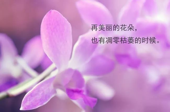 橙光游戏民国匆匆那年_匆匆手机游戏_匆匆那年vivo手机型号