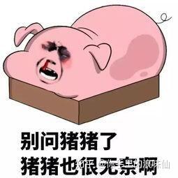 知乎提问删除不了是不是违法_知乎提问删除了能恢复吗_知乎删除自己的提问