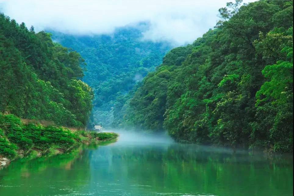 游戏茶苑官网大厅苹果手机版_茶会手机游戏_你手机游戏