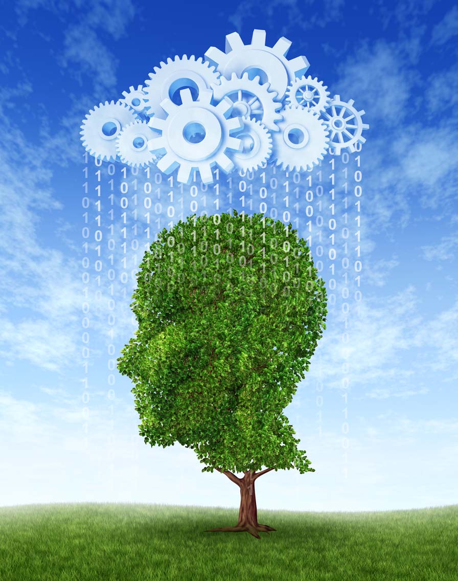 格锐数码手机游戏：让你沉浸其中的精彩世界，更新速度超快