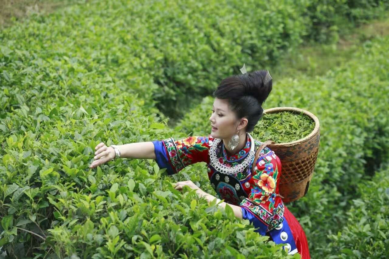 逆光剑设定_逆光剑能打闪闪吗_逆光剑