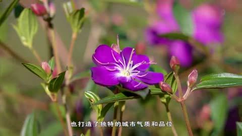 爱国手机游戏推荐_爱国 手机游戏_爱国手机游戏大全