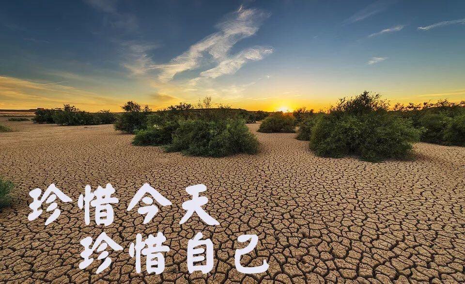 节水日是哪一天-世界节水日：让每滴水都值得珍惜，从每一天做起