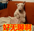 无聊世界男主和谁在一起了_世界无聊日_没有黄金段子的无聊世界