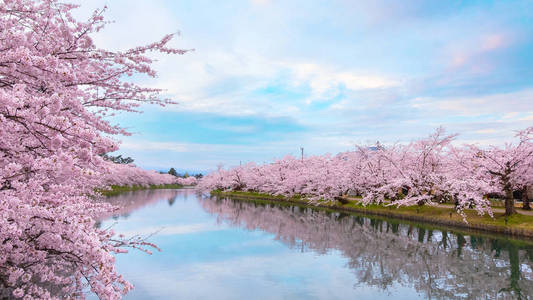 樱花视频广告_樱花视频官网_樱花官方正版官网入口2023