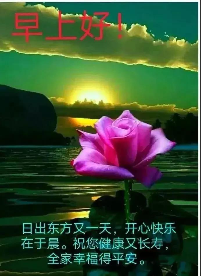 晨游戏手机：陪伴清晨的伙伴，消磨时间的情绪出口