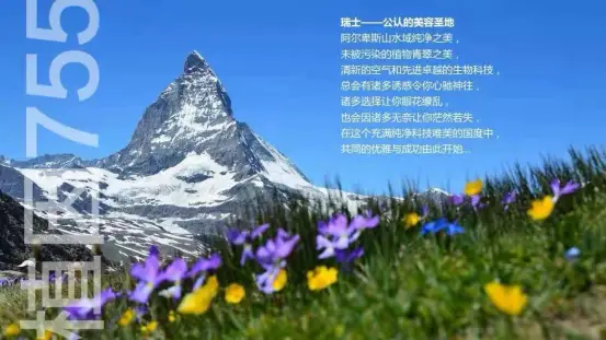 钢铁生锈游戏下载手机版_钢铁生锈有什么危害_钢铁生锈图片