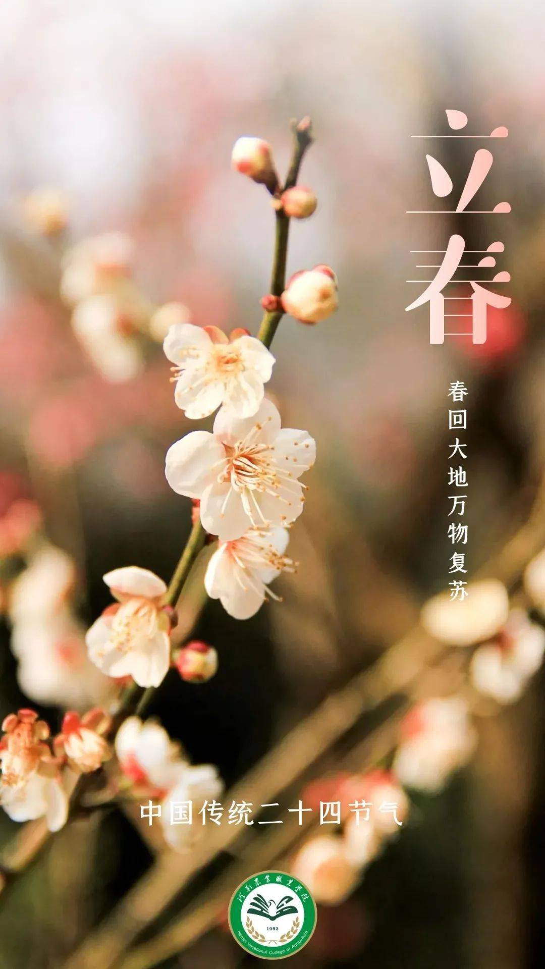 立春是几月几号-立春：中国传统节气之首，万物复苏的信号