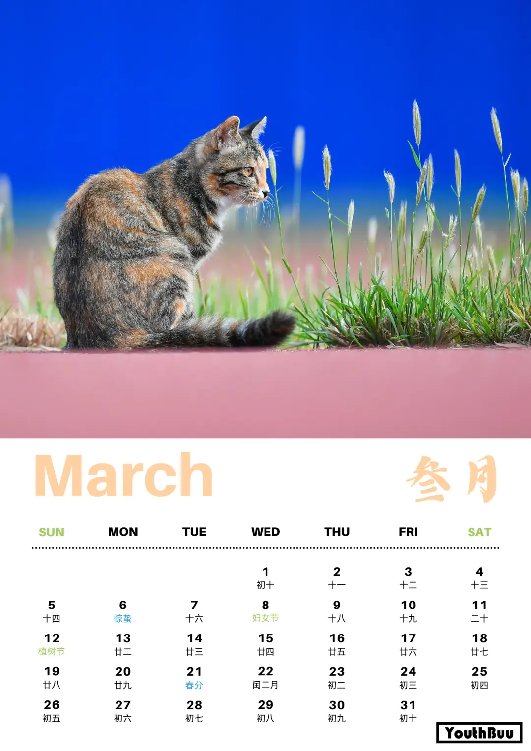 日历天数是什么意思_日历天数_日历天数查询