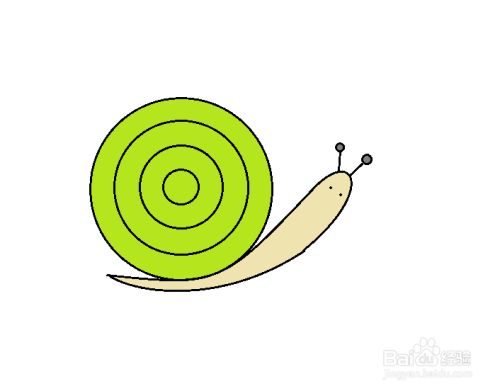 蜗牛怎么画-如何画一只可爱的蜗牛？超级简单治愈的教程分享
