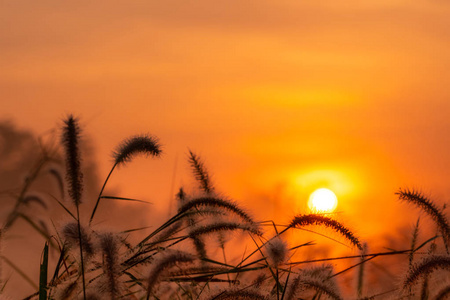 夏一可照片_夏天照片背景图_夏天照片景色