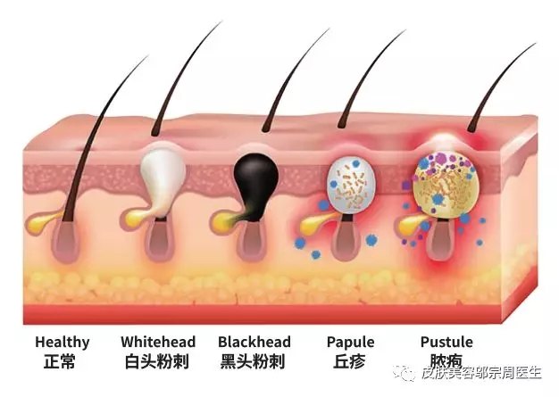 吃鸡之类的游戏手机有哪些_手机吃鸡小游戏_手机游戏吃鸡