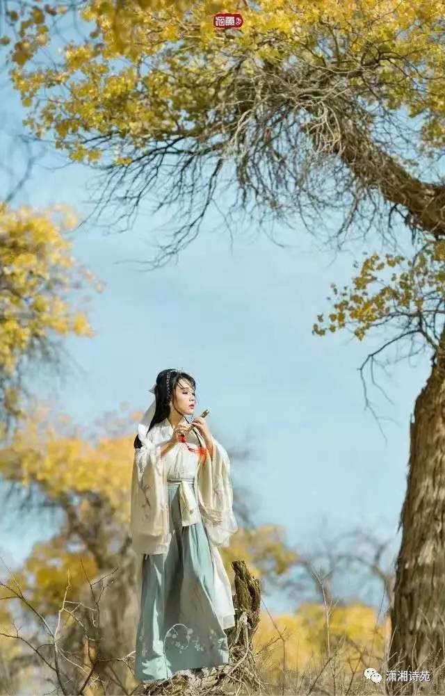 红颜如霜是哪一年发行的_红颜如霜周杰伦_红颜如霜