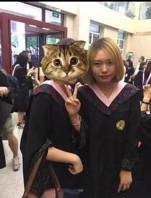 北大游戏手机版_下载北京大学app_北大版是什么意思