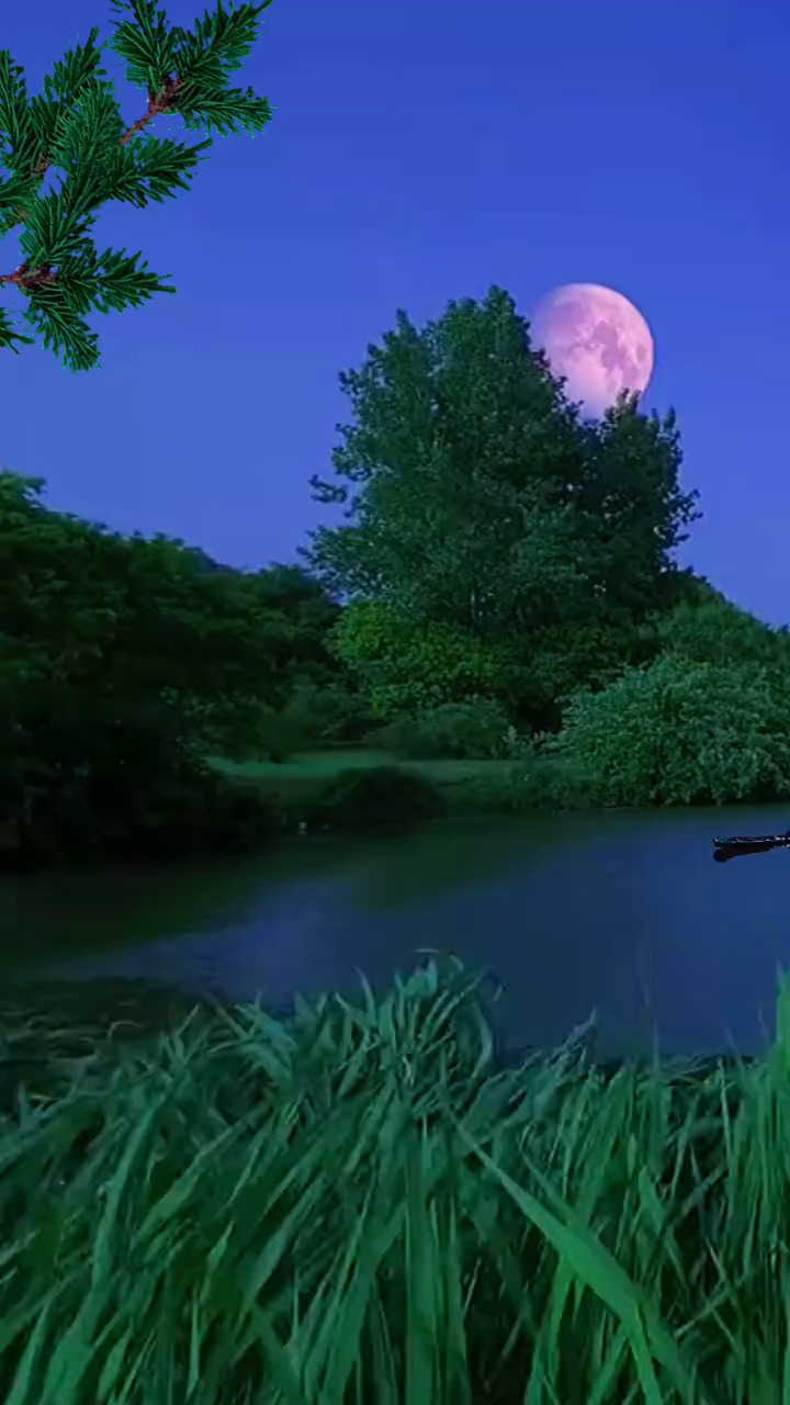 给我一个安静的角落是什么歌_安静歌角落是哪年的歌_安静角落歌词