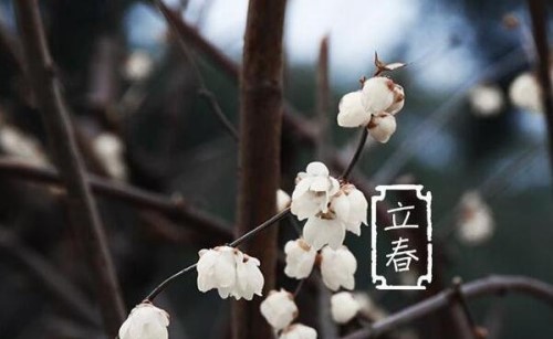 立春的**俗_立春的**俗_立春的**俗
