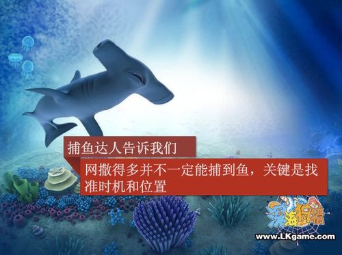 游戏的道理,探索虚拟世界的规则与智慧