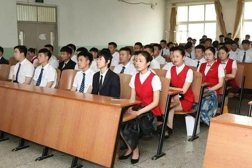 职高专业推荐游戏安卓,解锁专业乐趣新境界