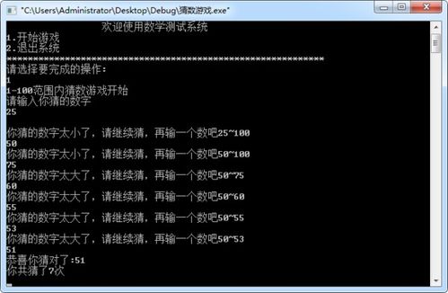 猜数游戏流程,从随机数生成到胜利的挑战之旅