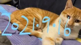 好友绝交游戏安卓,揭秘社交圈中的情感博弈