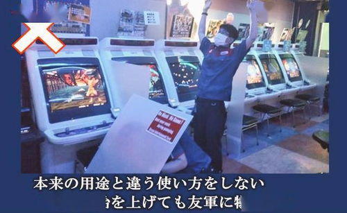布偶动物餐厅日服 
