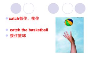 爱丽丝的餐厅单词游戏下载 