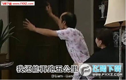 葛优手机游戏安卓,娱乐新体验