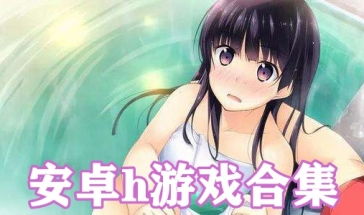 优秀的安卓h游戏,揭秘安卓平台上的顶级手游佳作