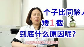 再来一次恶作剧 