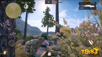 野生动物丛林法则 